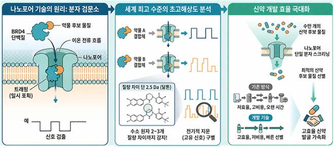 원자 수준 고해상도로 단백질-약물 결합 판별하는 나노포어 센서가 개발됐다. 생명연 제공