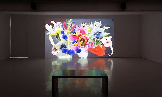 ‘페일 핑크 유니버스(Pale Pink Universe)’, 2025, 단채널 비디오, 13분 30초. (c)최요한