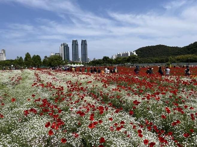 태화강 국가정원 봄꽃축제 [울산시 제공. 재판매 및 DB 금지]