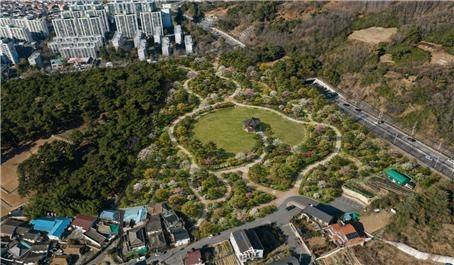 김해 삼산공원 디딤확산숲 공원 조성 모습. /김해시