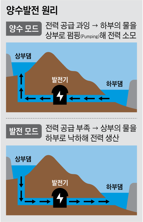 그래픽=박상훈