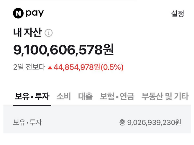 의사 A씨가 블라인드에 공개한 자산 인증 화면. 총자산이 91억원을 넘는다. /사진=블라인드 캡처