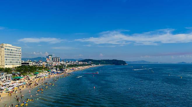 [대전=뉴시스] 충남 보령 대천해수욕장 전경. (사진=뉴시스 DB). photo@newsis.com  *재판매 및 DB 금지