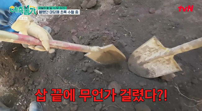 '예측불가' 방송