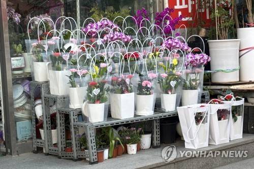 어버이 날 저녁에도 팔리지 않은 카네이션 (서울=연합뉴스) 이진주 인턴기자 = 지난 8일 저녁 서울 한 꽃집 매대에 팔리지 않은 카네이션 바구니가 많이 남아 있다.  2026.5.12