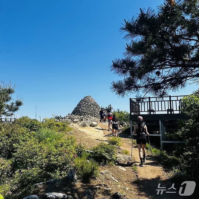 지난 9일 부산에서 열린 트레일러닝 대회 '부산50k' 코스 중 백양산 정상 일대. /뉴스1 이상휼 기자