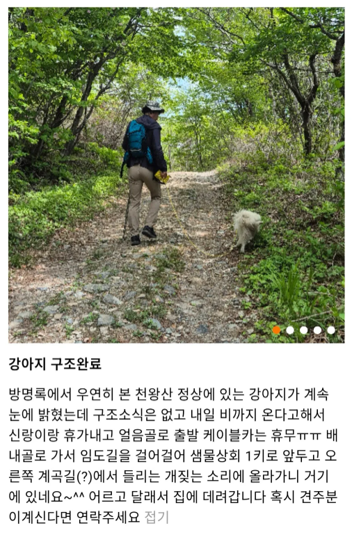 울산 울주군 천황산(해발 1189m) 정상에 홀로 남겨졌던 강아지가 한 부부의 손에 무사히 구조됐다. /사진=영남알프스완등인증 앱 방명록
