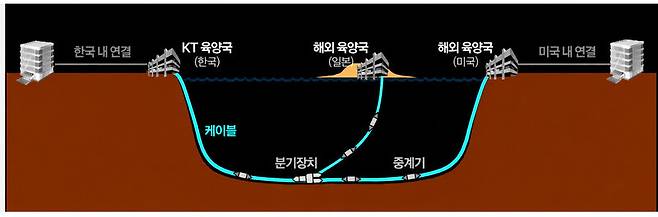 국내 육양국에서 해저케이블을 통해 일본, 미국 등 해외 육양국으로 연결된다. 케이티(KT)제공