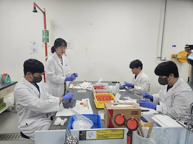 12일 대전 유성구 한국지질자원연구원에서 연구원들이 서태평양 해저에서 시추해온 퇴적물 샘플(동결 건조 상태)을 곱게 가는 전처리 작업을 하고 있다. 이후 주원소 분석 센터에서 샘플의 희토류 농도를 측정한다. 장형임기자