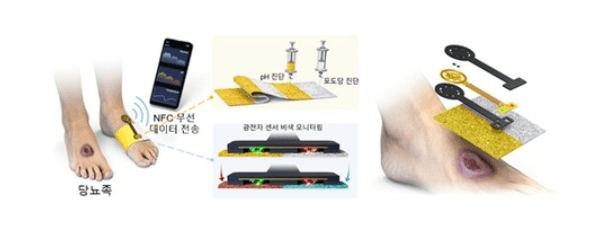 한국과학기술원 제공