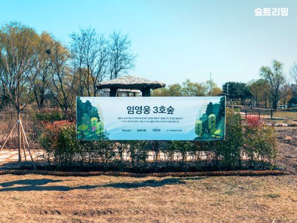 임영웅 3호숲&nbsp; ⓒ멜론