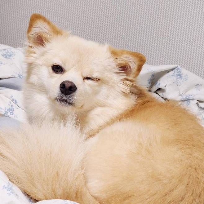 모두 꾸미 덕분이라고요~ (찡긋) 보호자 제공