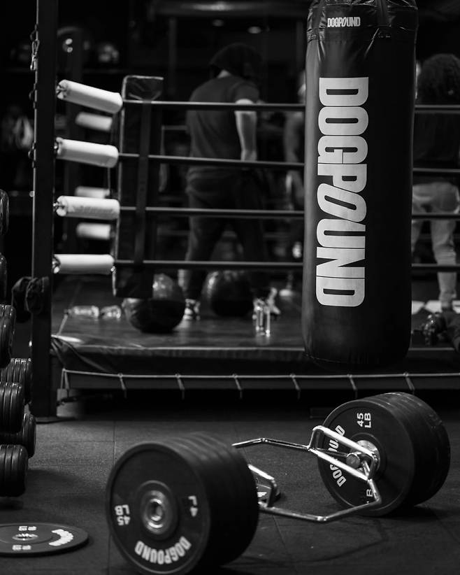 독파운드 헬스장.(사진제공=DOGPOUND)