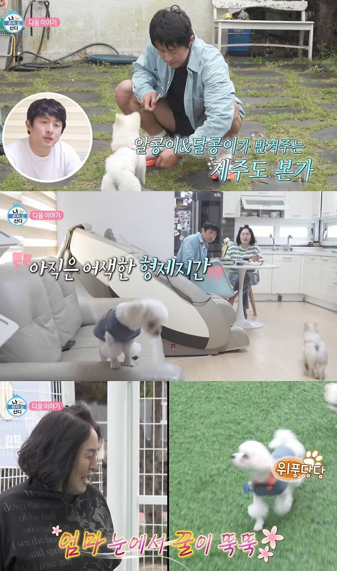 사진 = MBC ‘나 혼자 산다’
