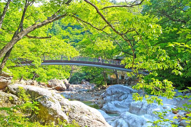 산청 대원사계곡길