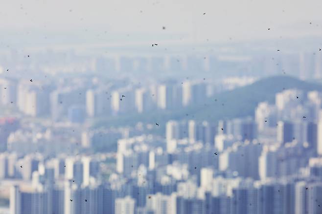러브버그.[게티이미지뱅크]