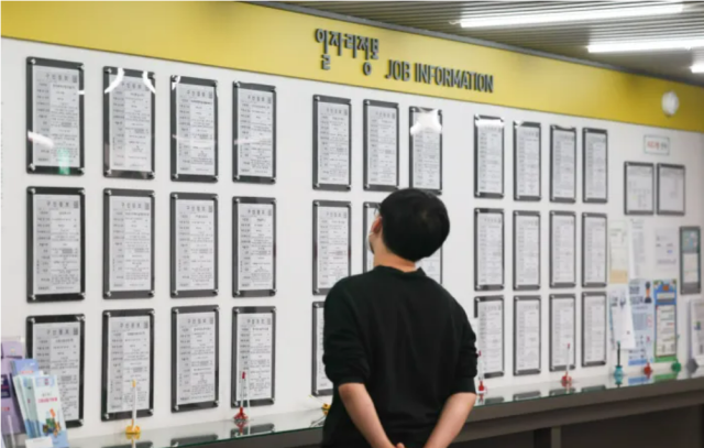 청년이 일자리 정보를 확인하고 있다.[사진=연합뉴스]