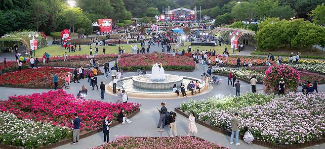 지난해 열린 2025 울산대공원 장미축제 모습. 울산시는 20일부터 25일까지 울산대공원 장미원에서 축제를 연다. 울산시 제공