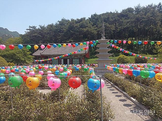 차밭과 어우러진 고흥 능가사 응진당. 석가탄신일을 앞두고 내건 연등이 자혜롭다.<무등일보>