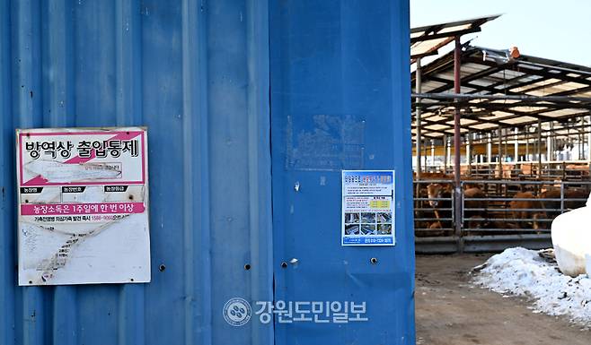 ▲ 춘천 신북읍의 한 한우농가에 붙어 있는 출입금지 안내판. 김정호 기자