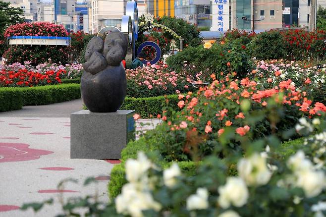 영일대장미원. 포항시