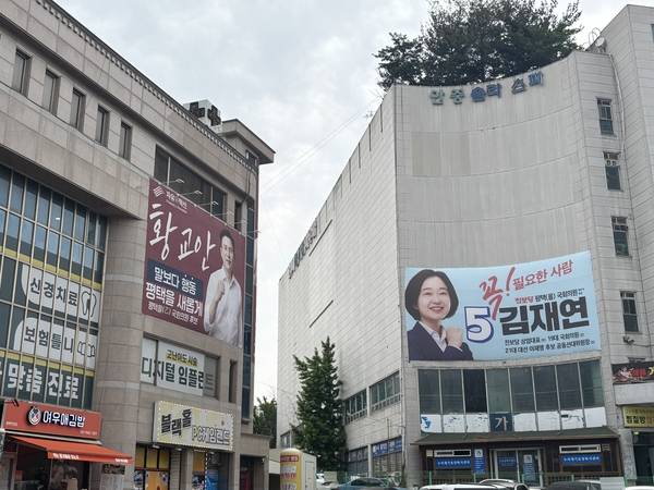 지난 19일 방문한 평택시 안중읍 일대에 평택을 지역구 국회의원 재보궐 선거에 나서는 후보들의 현수막이 걸려 있다. 2026.5.20/ 이영지기자 bbangzi@kyeongin.com