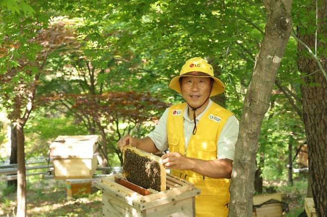 LG는 대한민국 토종벌 명인 1호 김대립 명인과 협업해 2027년까지 매년 토종 꿀벌 개체 수를 2배 증식하는 목표를 세우고 보호 사업을 추진 중이다. (사진 LG그룹 제공)/뉴스펭귄