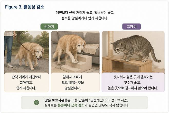 그래픽=연희동물의료센터 제공