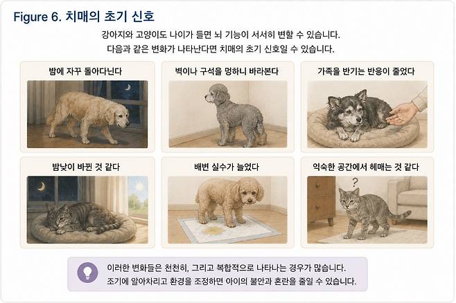 그래픽=연희동물의료센터 제공