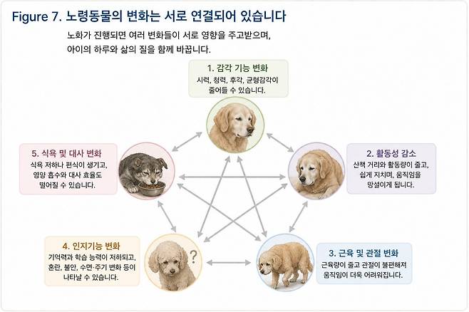 그래픽=연희동물의료센터 제공