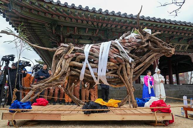 탐라국입춘굿에서 모의 농경의레를 재현한 '낭쉐몰이' 장면(낭쉐는 나무로 만든 소를 말함) ⓒ제주도 제공
