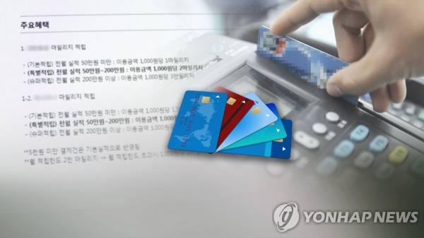 상업자전용표시카드(PLCC). / 연합뉴스
