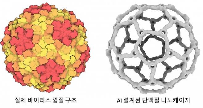 실제 바이러스 껍질 구조와 AI 설계 단백질 나노케이지 비교. 오각형과 육각형 뼈대를 활용해 축구공 같은 모양을 구현했다. 이상민 교수 제공