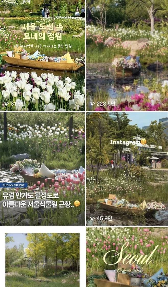 [서울=뉴시스]SNS에서 서울식물원을 두고 '한국판 모네의 정원'이라고 불리울 정도로 아름답다는 반응이 잇따르고 있다. (사진출처: 인스타그램) 2026.05.20.