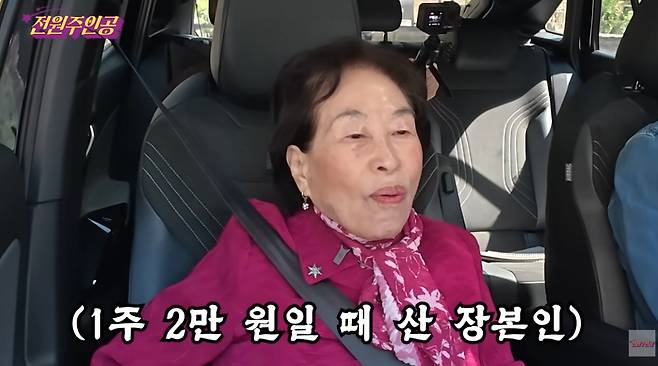 배우 전원주는 과거 SK하이닉스 주식을 2만원대에 매수해 장기 보유 중이라고 밝혀 이른바 '전원버핏' 'SK하이닉스 대모'라는 별칭을 얻은 바 있다. /사진=전원주 유튜브 영상 캡처