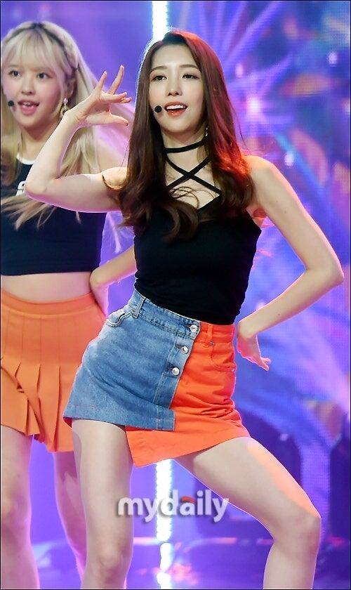 파나틱스 도이 / 마이데일리