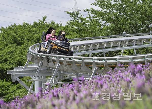 지난 22일 열린 웨일즈카트 사전 시승 행사장. 캐릭터 디자인을 입은 카트가 전용 트랙 위를 달렸다.