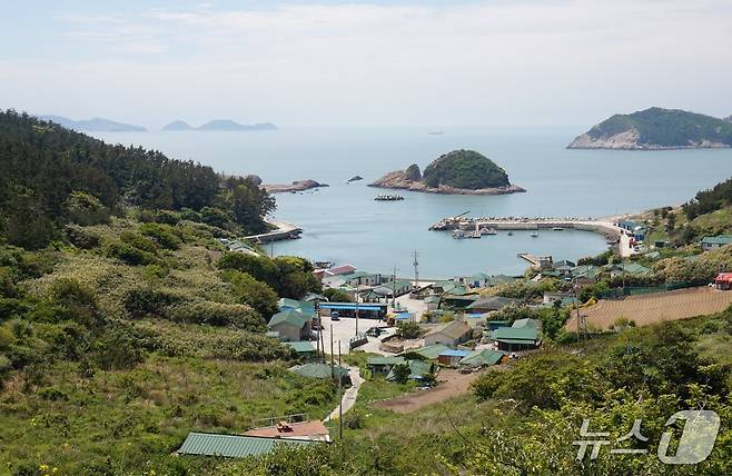 '막금잔등'에서 내려다보이는 동막리 풍경.마을 앞 솔섬 왼쪽 멀리 병풍도가 보이고, 오른쪽 바다 건너편으로 서거차도가 얼굴을 내민다. 2026.5.22. 뉴스1 ⓒ News1 조영석 기자