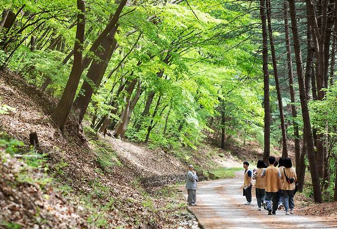경기도 남양주시 광릉숲과 가까운 '봉선사'는 근교 템플스테이 명소 중 하나다. 템플스테이 참가자들이 명상 산책을 하고 있다. / 장은주 영상미디어 객원기자