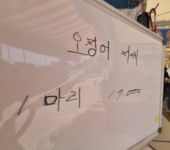 속초 오징어 난전 시세 [촬영 류호준]