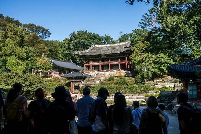 창덕궁 ‘무언자적, 왕의 아침 정원을 거닐다’ 프로그램에 참여한 외국인 관광객들이 고즈넉한 궁궐을 산책하고 있다./사진=크리에이트립