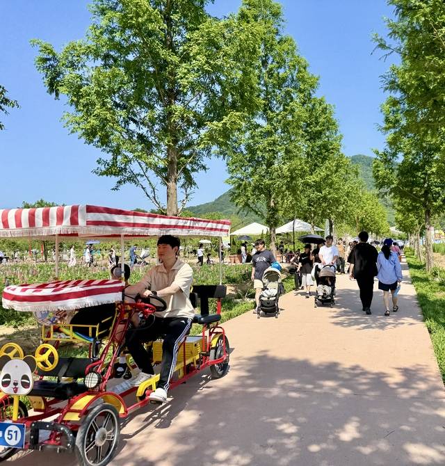 가든페스타를 찾은 한 가족이 전기자전거를 이용해 가드페스타 현장을 이동하는 모습. 사진=박성용 기자