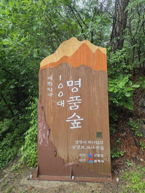 강원 삼척의 영경묘 입구에 설치된 대한민국 100대 명품숲 입간판. (사진=박진환 기자)