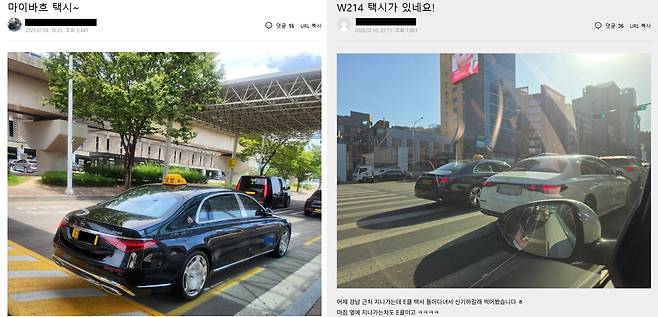 온라인 커뮤니티에서 3억원대 메르세데스-벤츠 마이바흐 S580, E클래스 W214 등 고급 외제차 모범택시를 봤다는 게시글. /온라인 커뮤니티 캡처