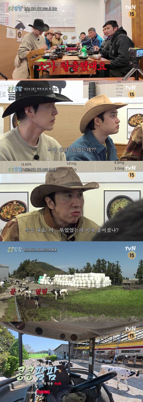 이광수·김우빈·도경수, 제주 목장 일 도전… ‘콩콩팜팜’ 첫 티저 공개 (제공: tvN ‘콩 심은 데 콩 나는 가고팜 하고팜 동물농장’ 티저 영상 캡처, 포스터)