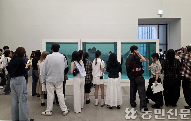 ‘살아 있는 자의 마음속에 있는 죽음의 물리적 불가능성(1991)'를 관람하는 방문객들.