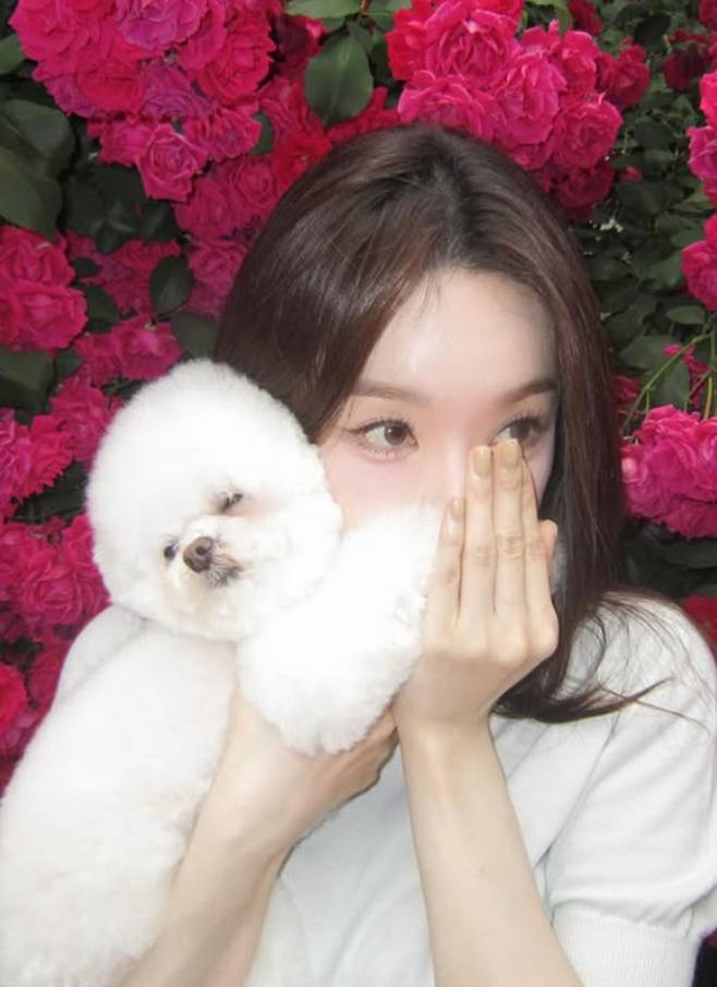 Singer Kang Min-kyung shared a stunning photo of her daily life with flowers on social media. In the photo, Kang Min-kyung is seen relaxing among roses and spending time with her dog.On July 27, Kang posted a series of photos on his account, showing him walking around his neighborhood while smelling the flowers. He wore a white short-sleeved T-shirt, jean shorts, and sandals.In the photos, Kang Min-kyung showed off her affectionate side with her dog, creating a heartwarming atmosphere. Viewers reacted enthusiastically to the photos and continued to admire her radiant appearance.