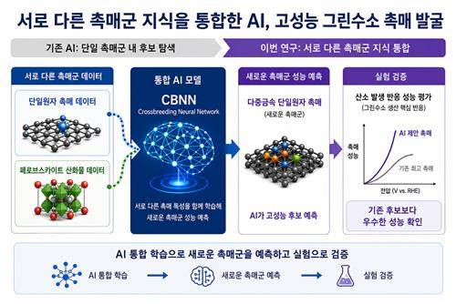 AI 활용 고성능 그린수소 촉매 발굴 설명도 [기초과학연구원 제공. 재판매 및 DB 금지]