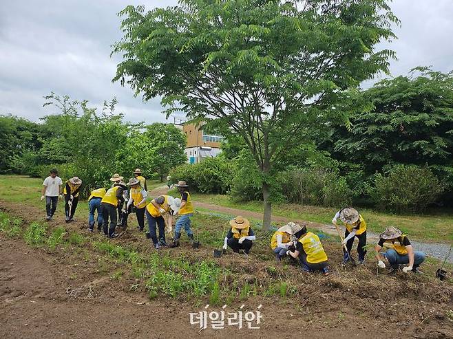 한국에너지기술평가원은 27일 대전 미호동 에너지자립마을(RE100 마을)에서 '세계 꿀벌의 날'을 기념한 '윙윙 꿀벌정원 나무심기 봉사활동'을 추진했다.ⓒ에기평