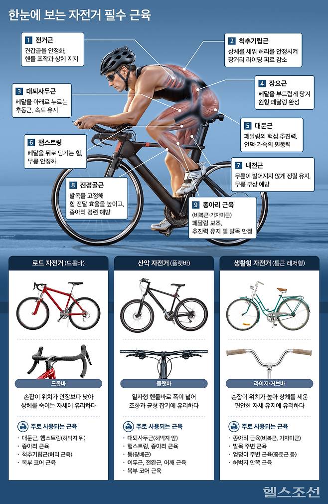 그래픽=김경아